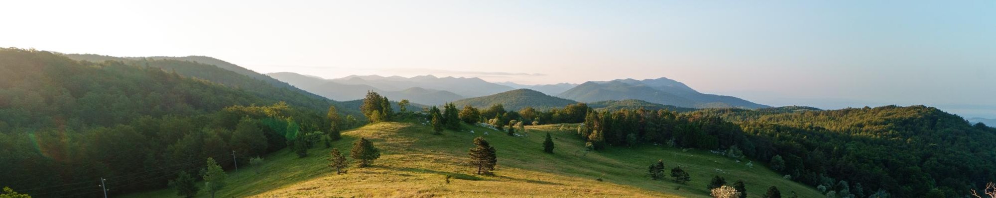 Naslovna pasica